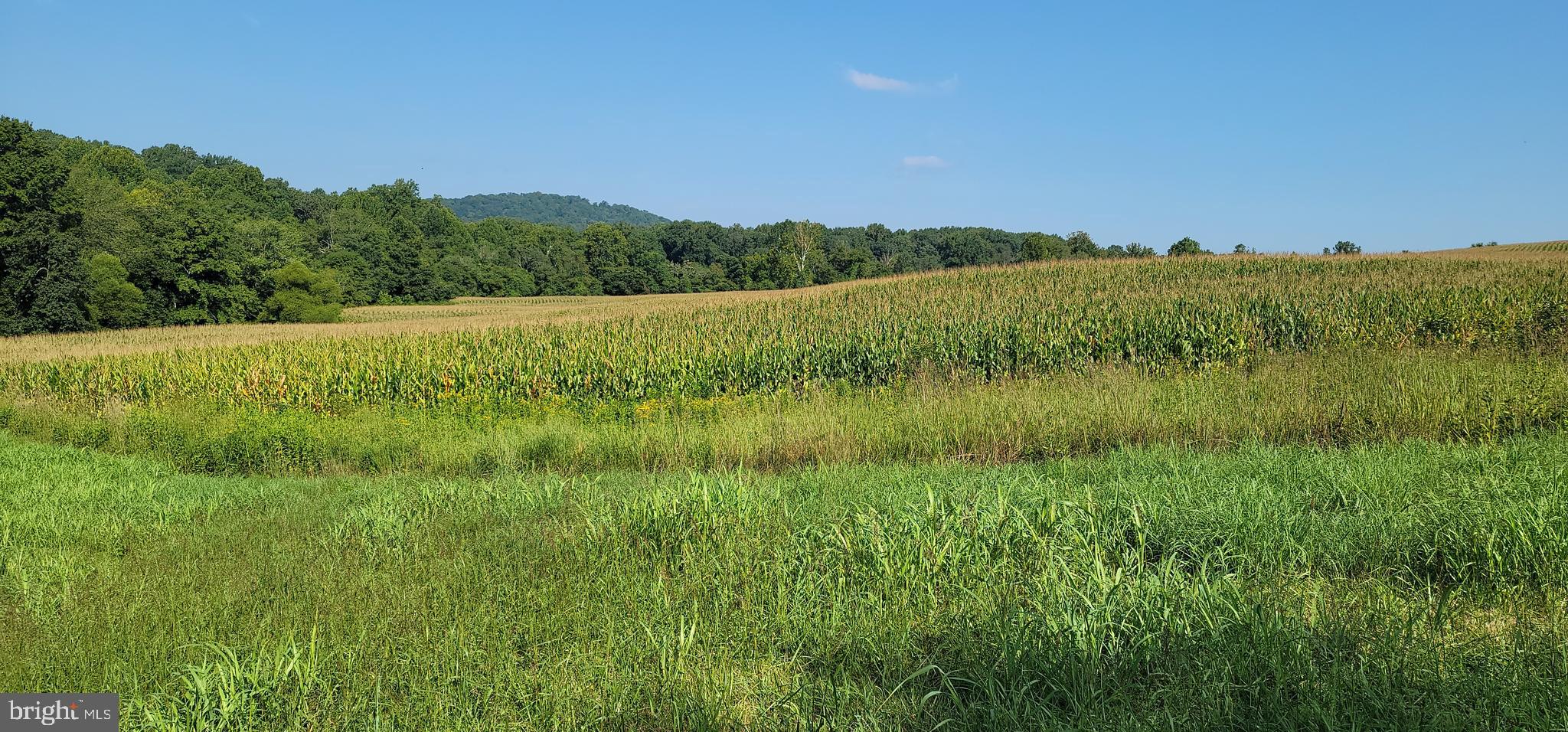 811 Richmond Road Castleton, VA 22716 - Photo 26 of 31