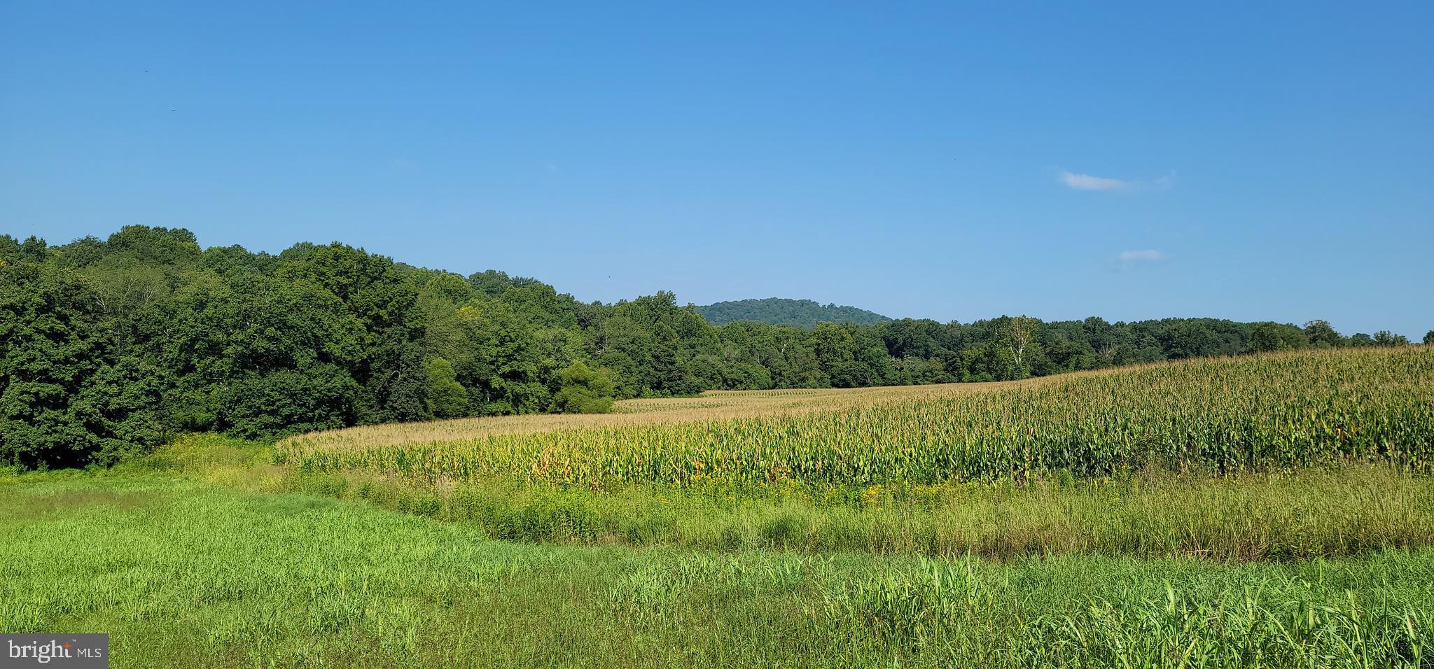 811 Richmond Road Castleton, VA 22716 - Photo 27 of 31