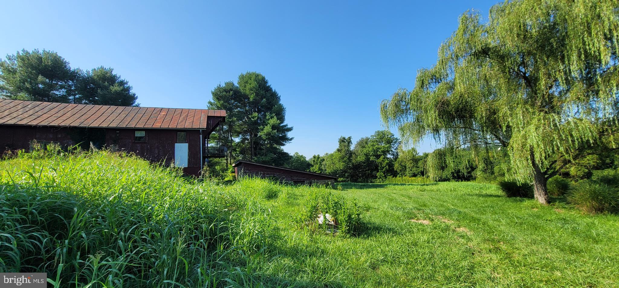 811 Richmond Road Castleton, VA 22716 - Photo 5 of 31