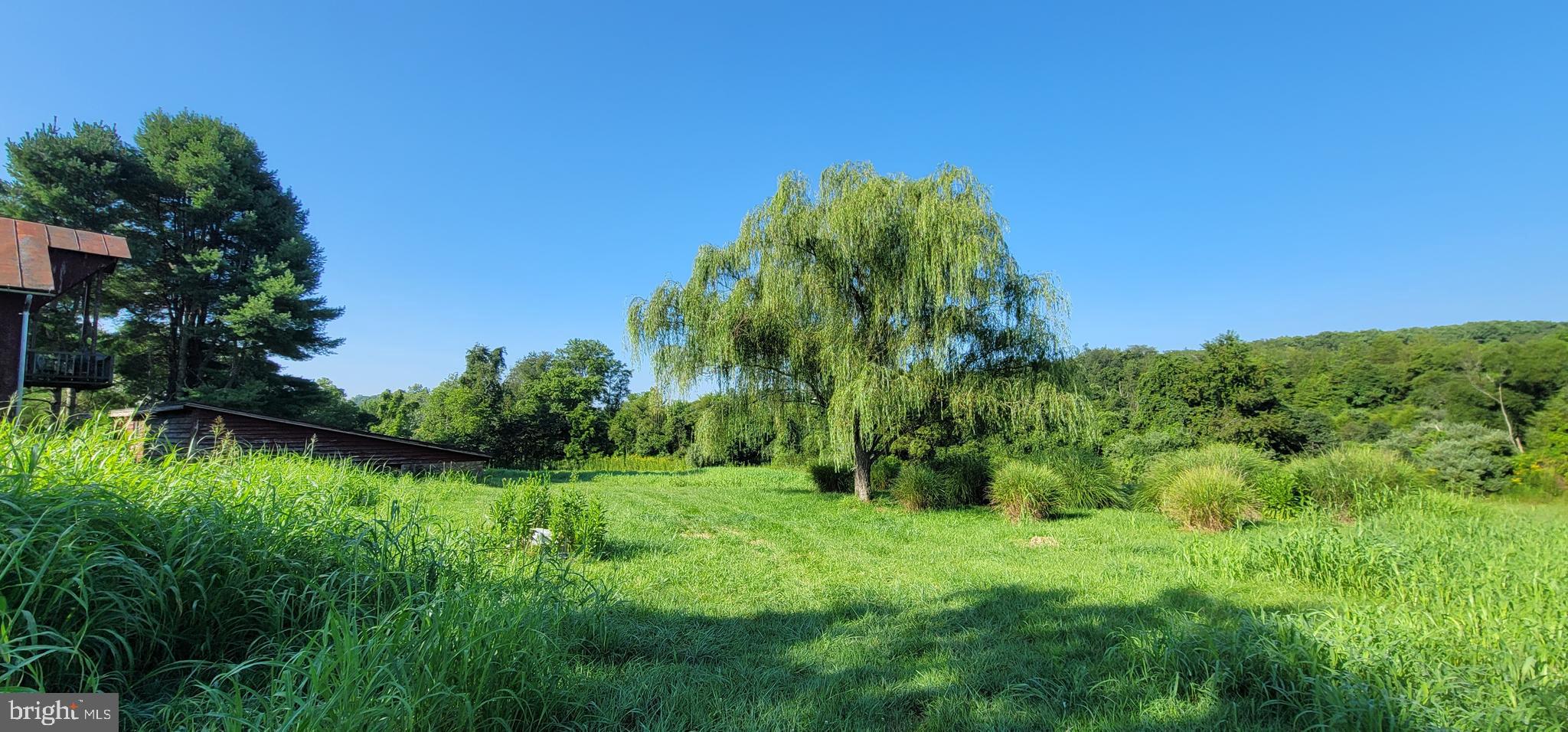 811 Richmond Road Castleton, VA 22716 - Photo 7 of 31