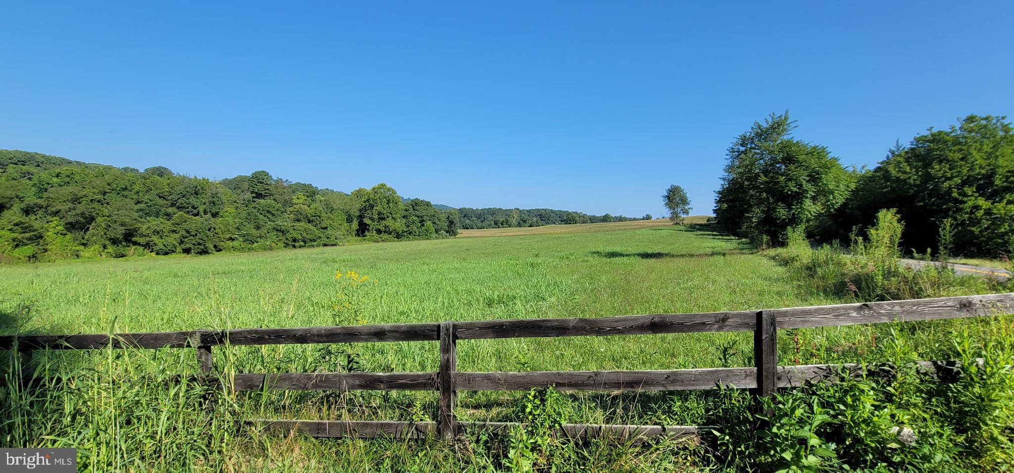 811 Richmond Road Castleton, VA 22716 - Photo 8 of 31