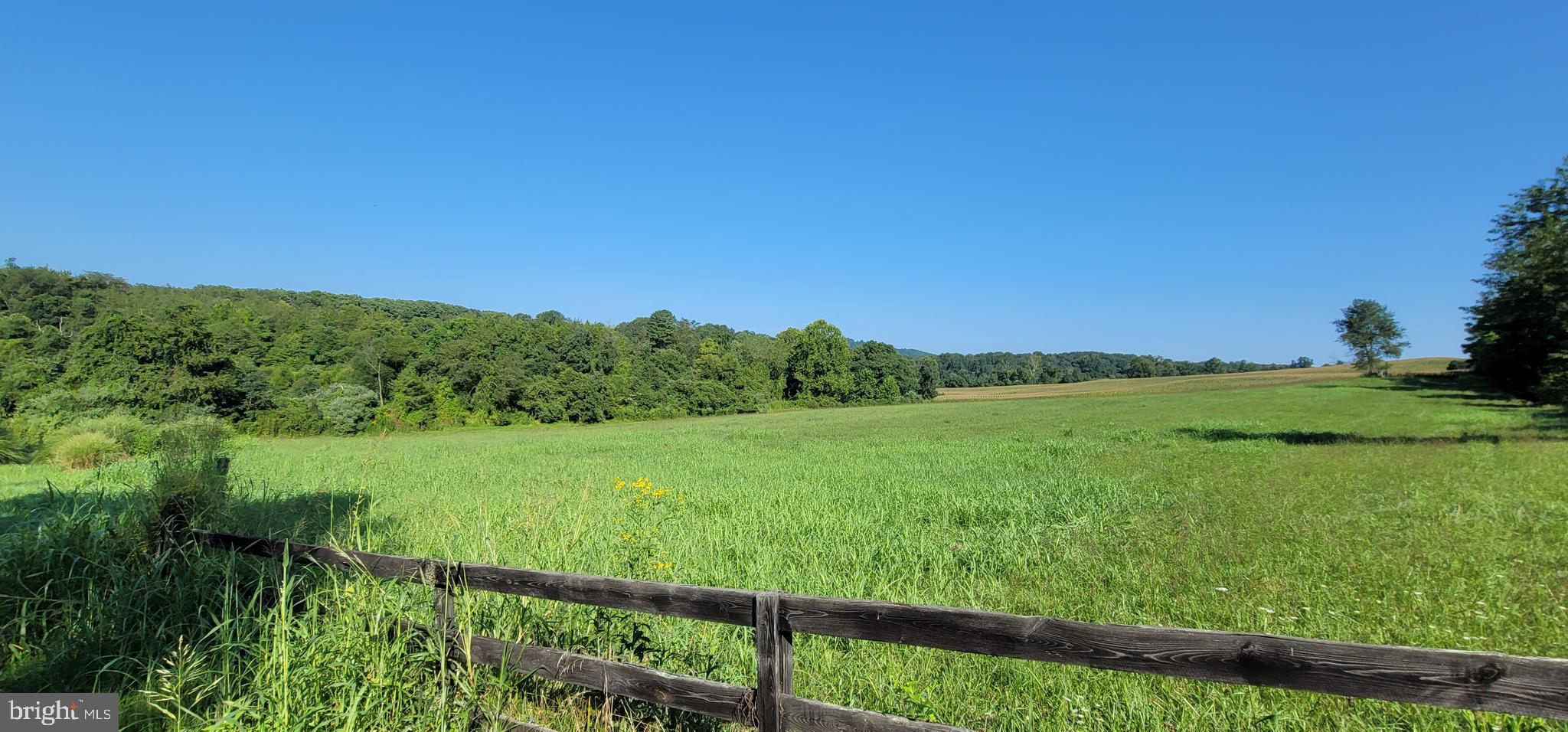 811 Richmond Road Castleton, VA 22716 - Photo 9 of 31