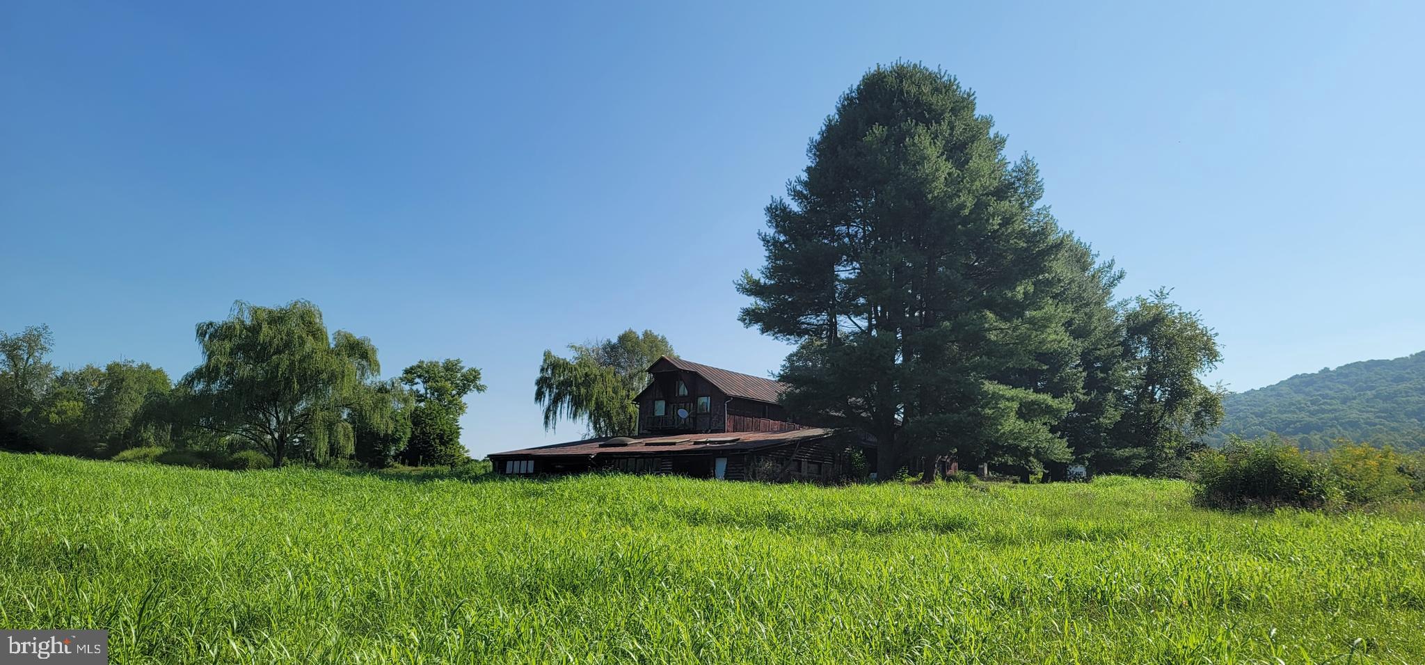 811 Richmond Road Castleton, VA 22716 - Photo 10 of 31