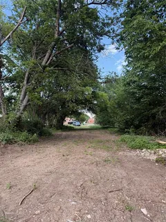 a view of a yard with trees