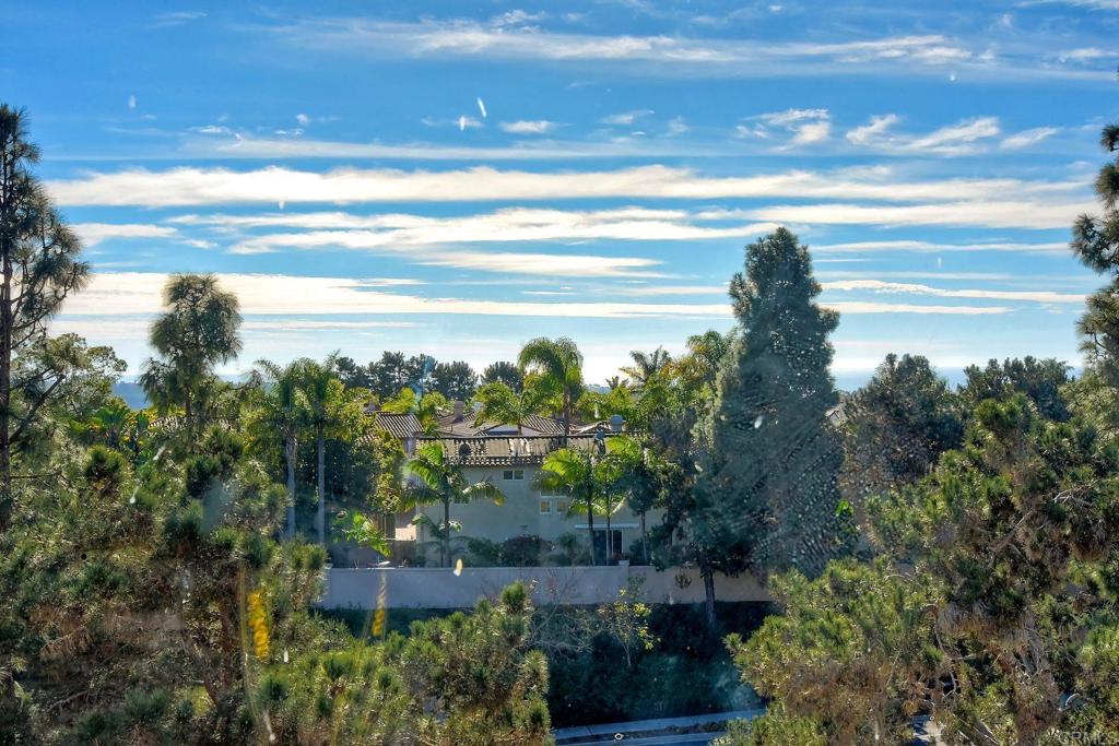 6795 Palermi Place Carlsbad, CA 92011 - Photo 25 of 48