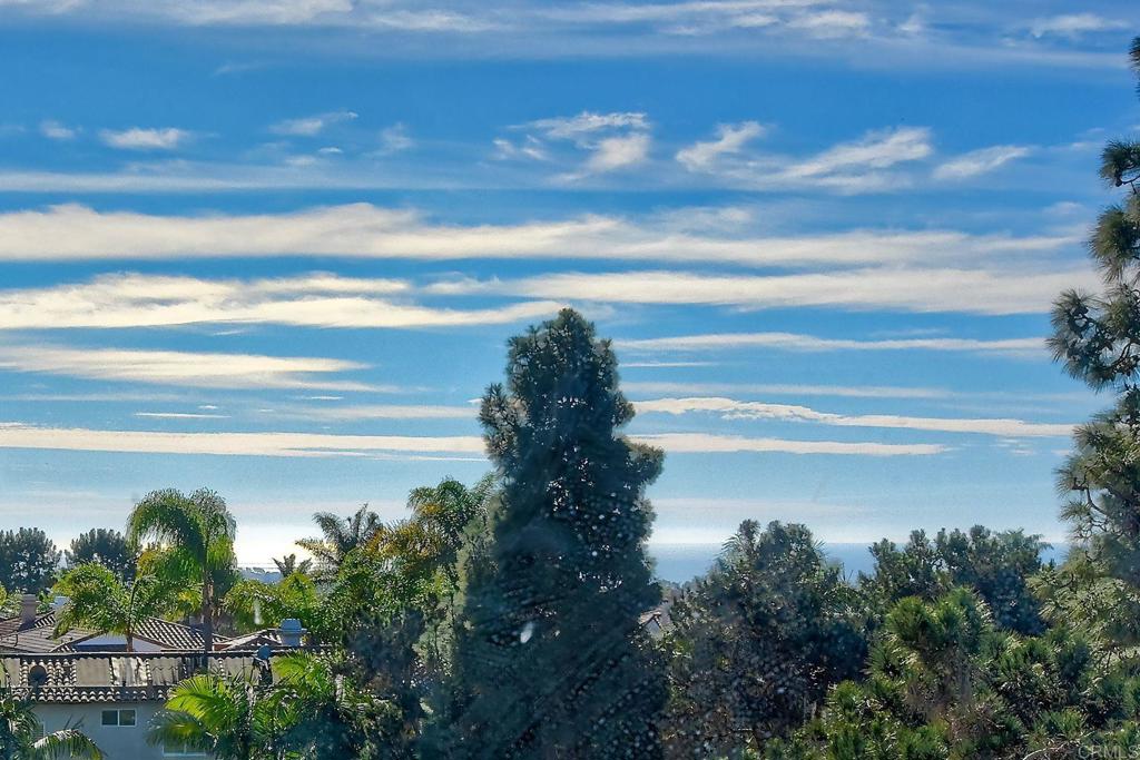 6795 Palermi Place Carlsbad, CA 92011 - Photo 26 of 48