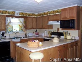 485 Phillips Ferry Road Bluffs, IL 62621 - Photo 2 of 4