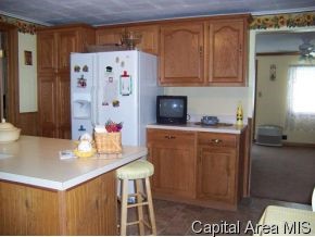 485 Phillips Ferry Road Bluffs, IL 62621 - Photo 3 of 4