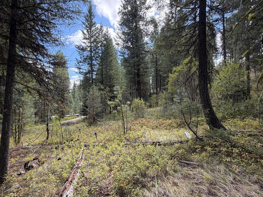 48 Rehn Loop, Unit 5 Cascade, ID 83611 - Photo 3 of 11 Looking from Public Land at the Property