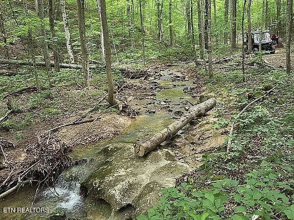 $989,900 | 235 Sparta Street, Spencer, TN 38585