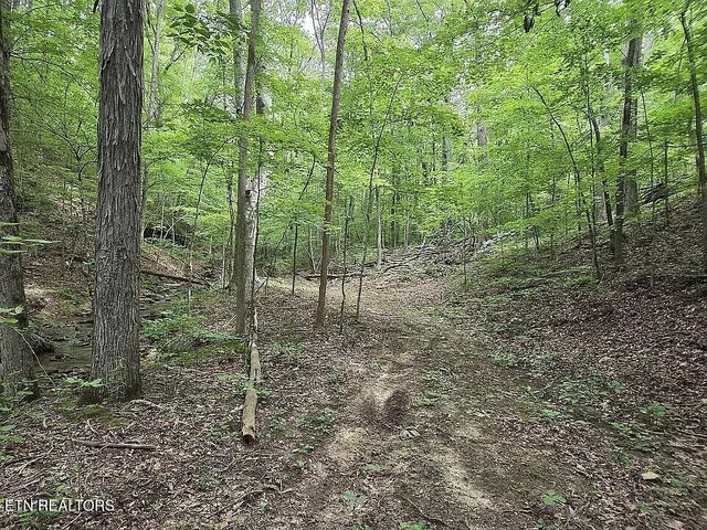 $989,900 | 235 Sparta Street, Spencer, TN 38585