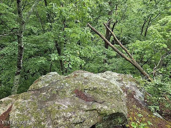 $989,900 | 235 Sparta Street, Spencer, TN 38585