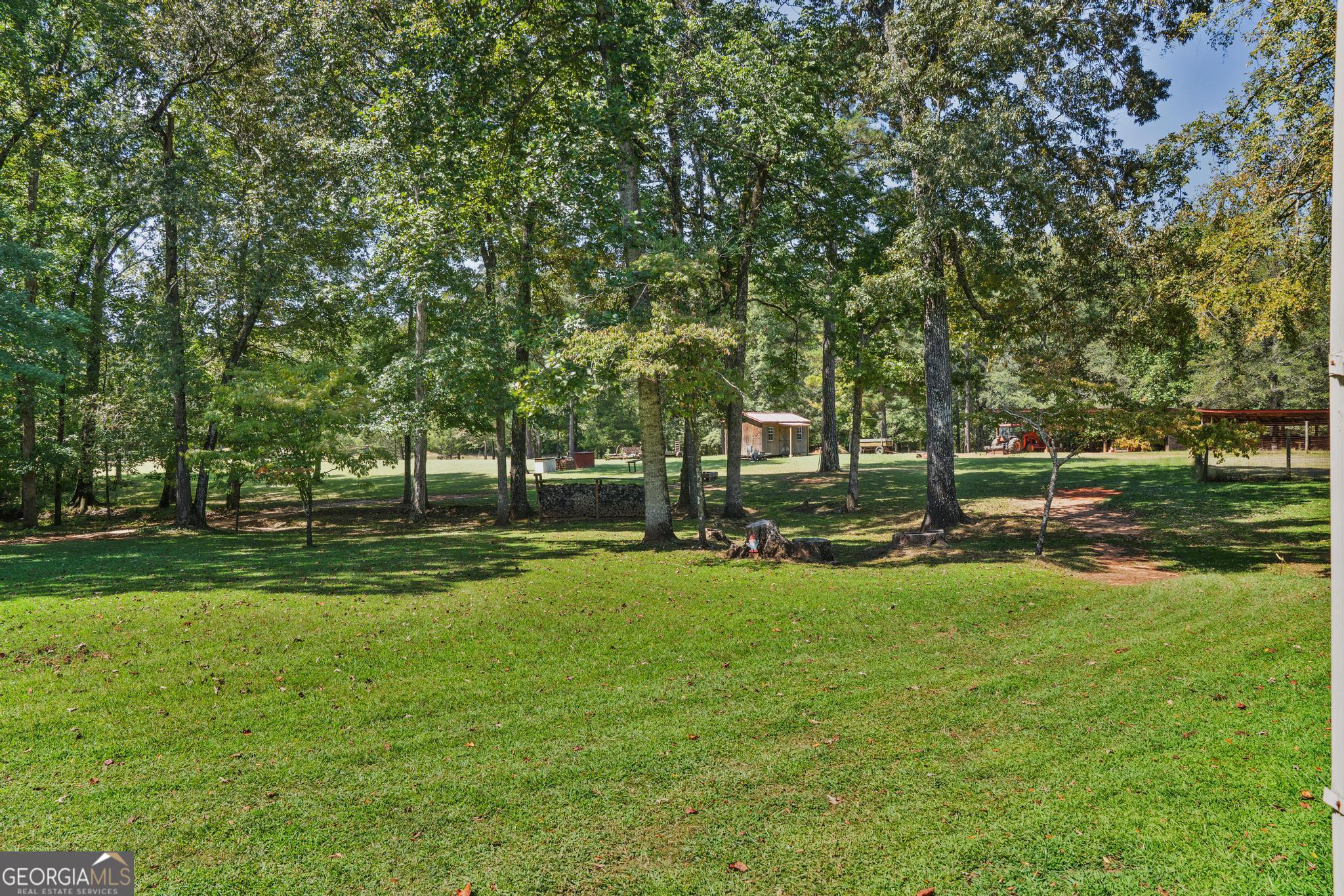 369 Abares Road Forsyth, GA 31029 - Photo 46 of 60