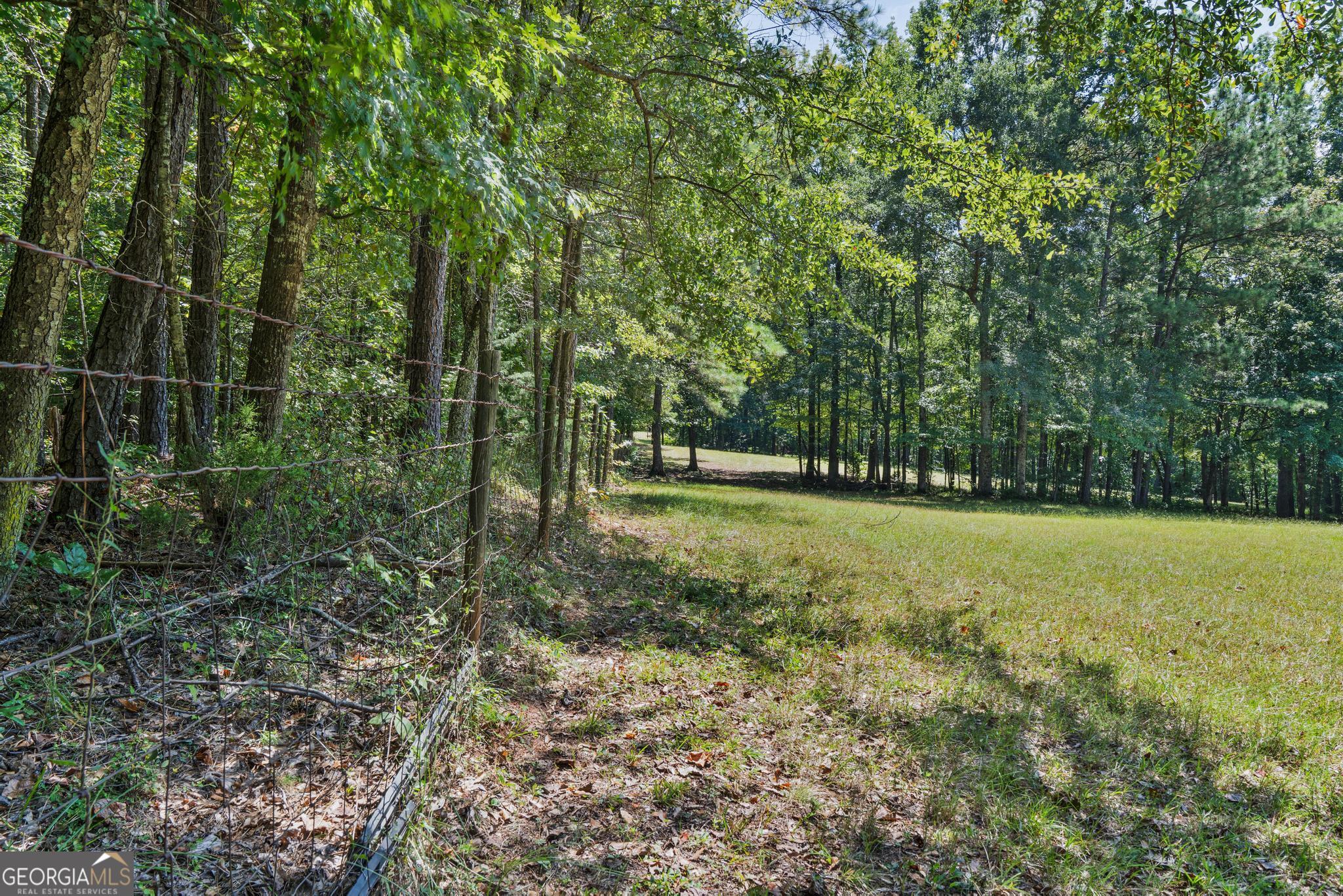 369 Abares Road Forsyth, GA 31029 - Photo 48 of 60 a view of outdoor space with trees all around