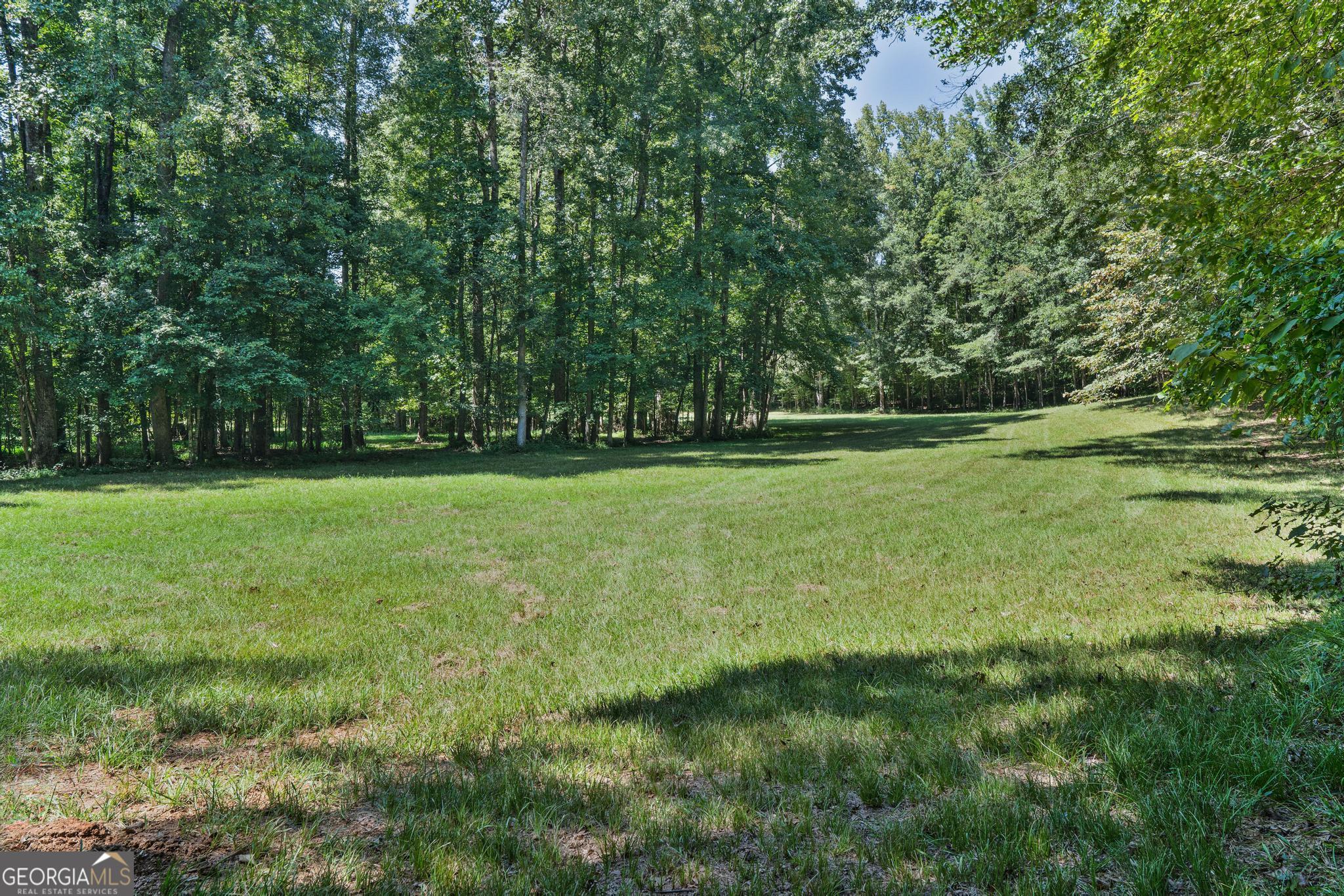 369 Abares Road Forsyth, GA 31029 - Photo 49 of 60