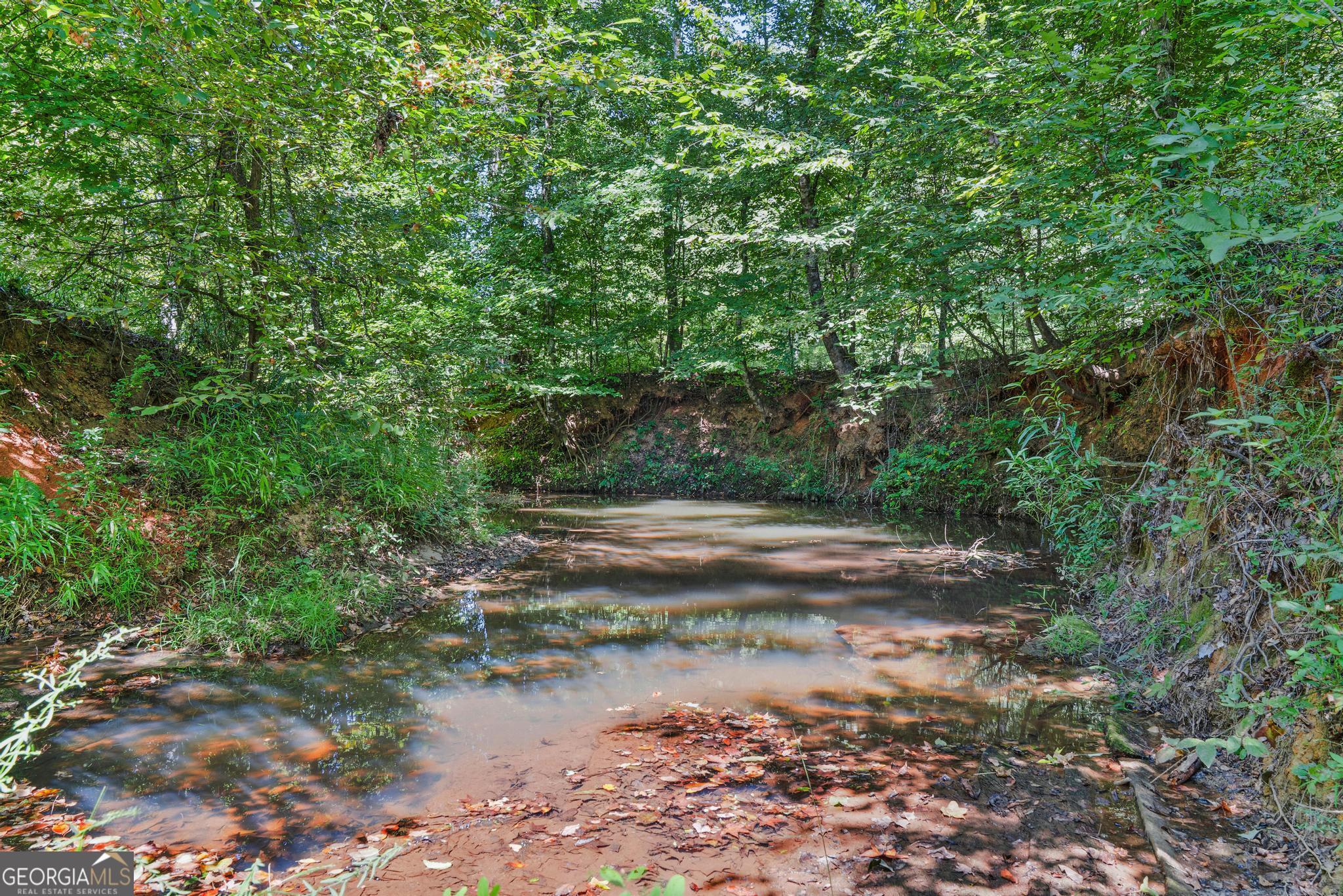 369 Abares Road Forsyth, GA 31029 - Photo 50 of 60 a view of a yard with plants and large trees