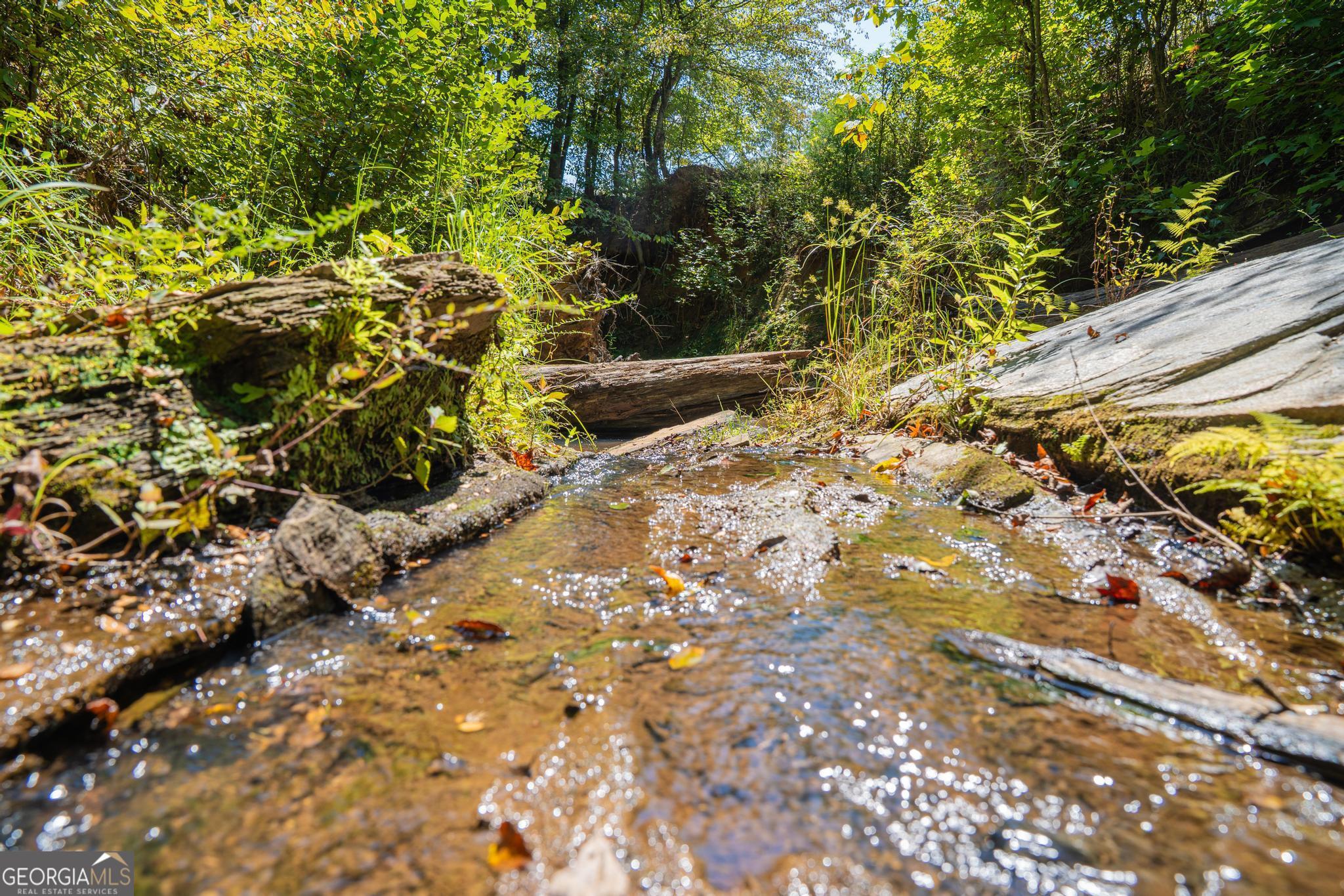 369 Abares Road Forsyth, GA 31029 - Photo 51 of 60 a view of a garden with plants