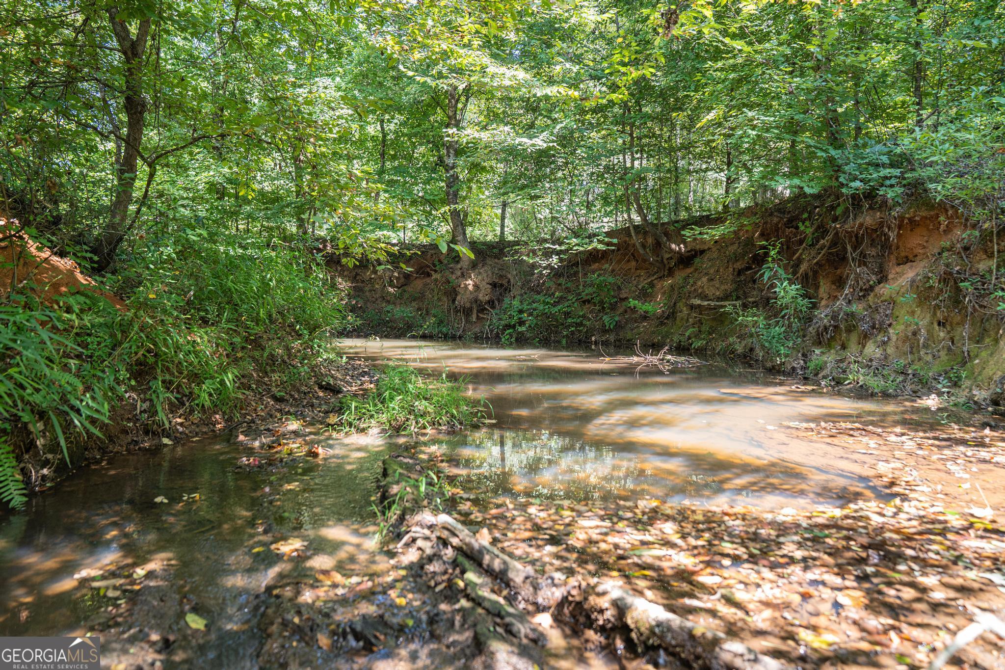 369 Abares Road Forsyth, GA 31029 - Photo 52 of 60 a view of a yard with plants and large trees