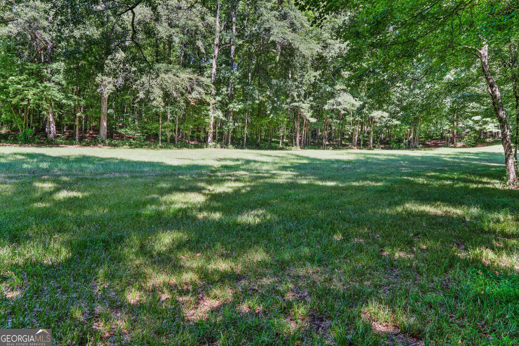 369 Abares Road Forsyth, GA 31029 - Photo 54 of 60 a view of outdoor space with trees all around