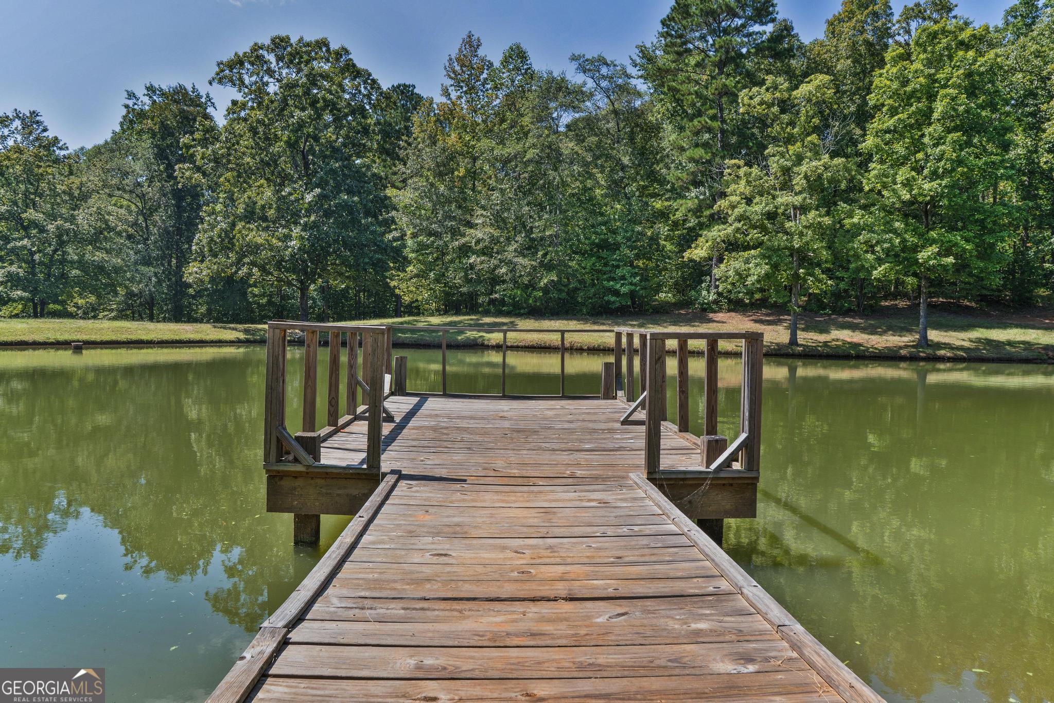 369 Abares Road Forsyth, GA 31029 - Photo 57 of 60