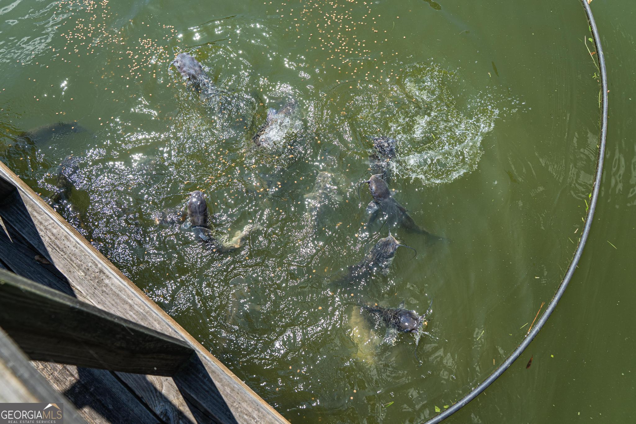 369 Abares Road Forsyth, GA 31029 - Photo 58 of 60