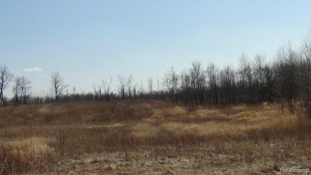 Parcel F Seven Mile Road South Lyon, MI 48178 - Photo 8 of 11