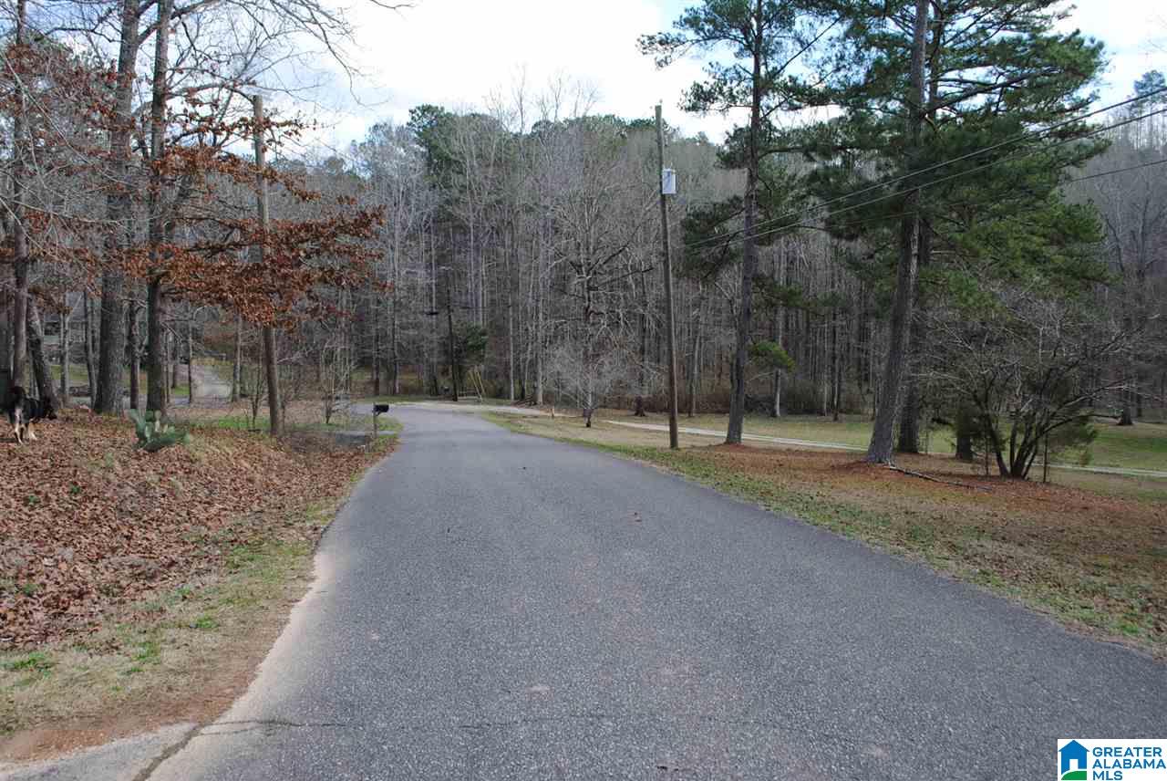 7955 Blackie Curren Road Bessemer, AL 35022 - Photo 3 of 21