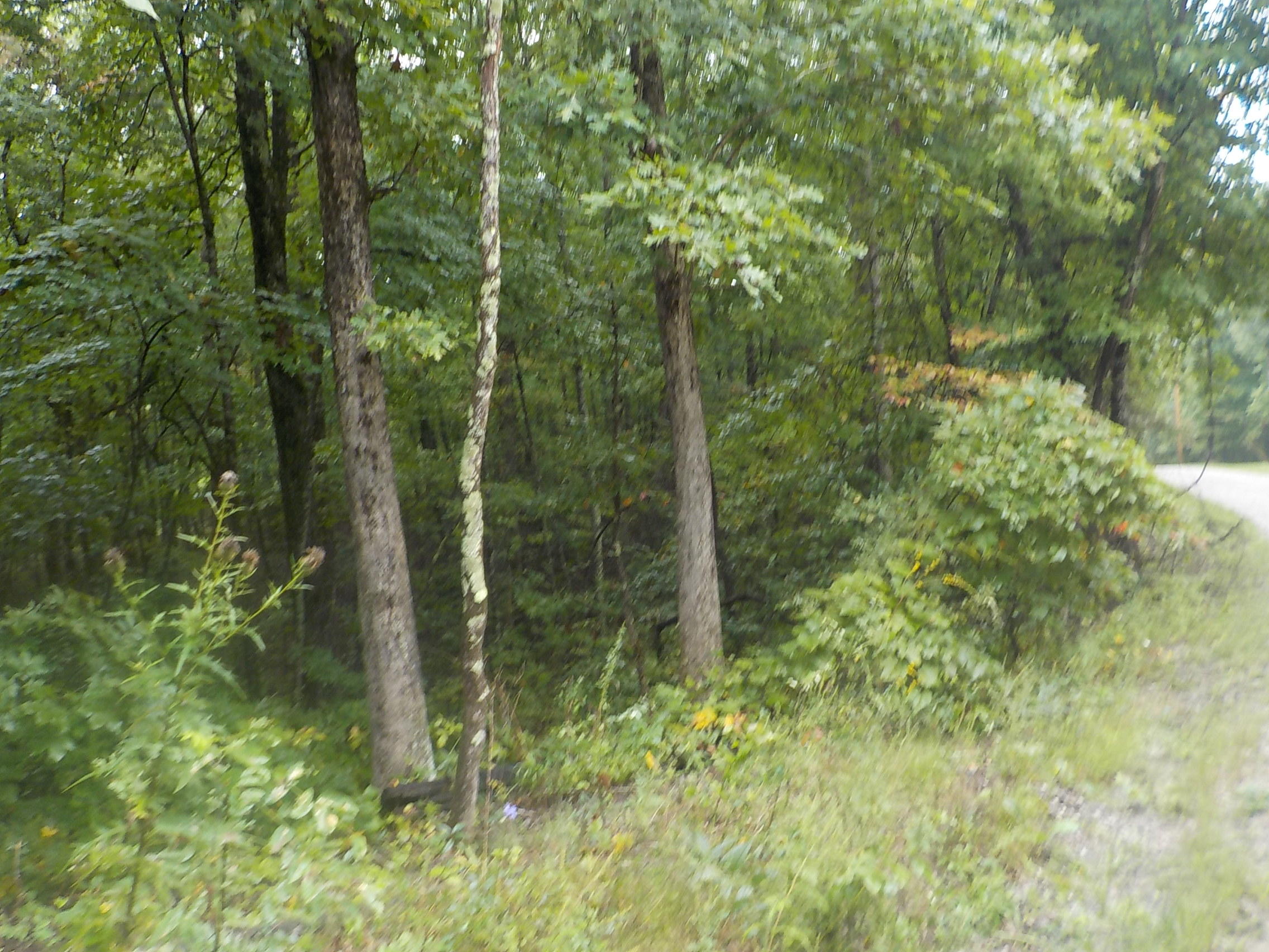 Cravenstown Road Alpine, TN 38543 - Photo 12 of 14 014