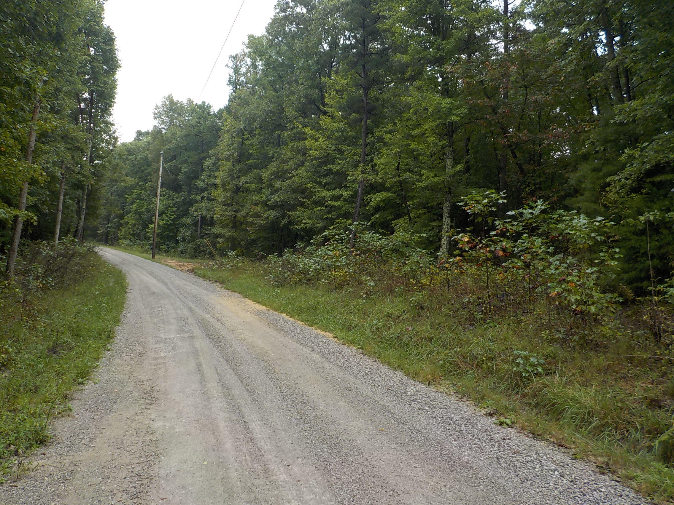 Cravenstown Road Alpine, TN 38543 - Photo 14 of 14 011