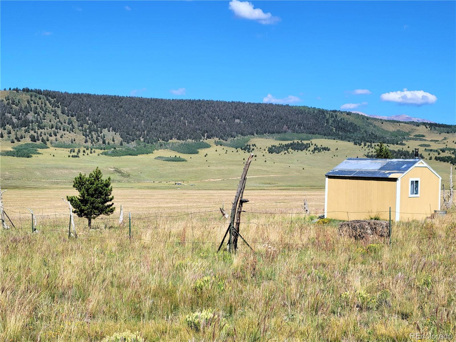 3242 Gap Road Fairplay, CO 80440 - Photo 3 of 13 Gallery Image 3