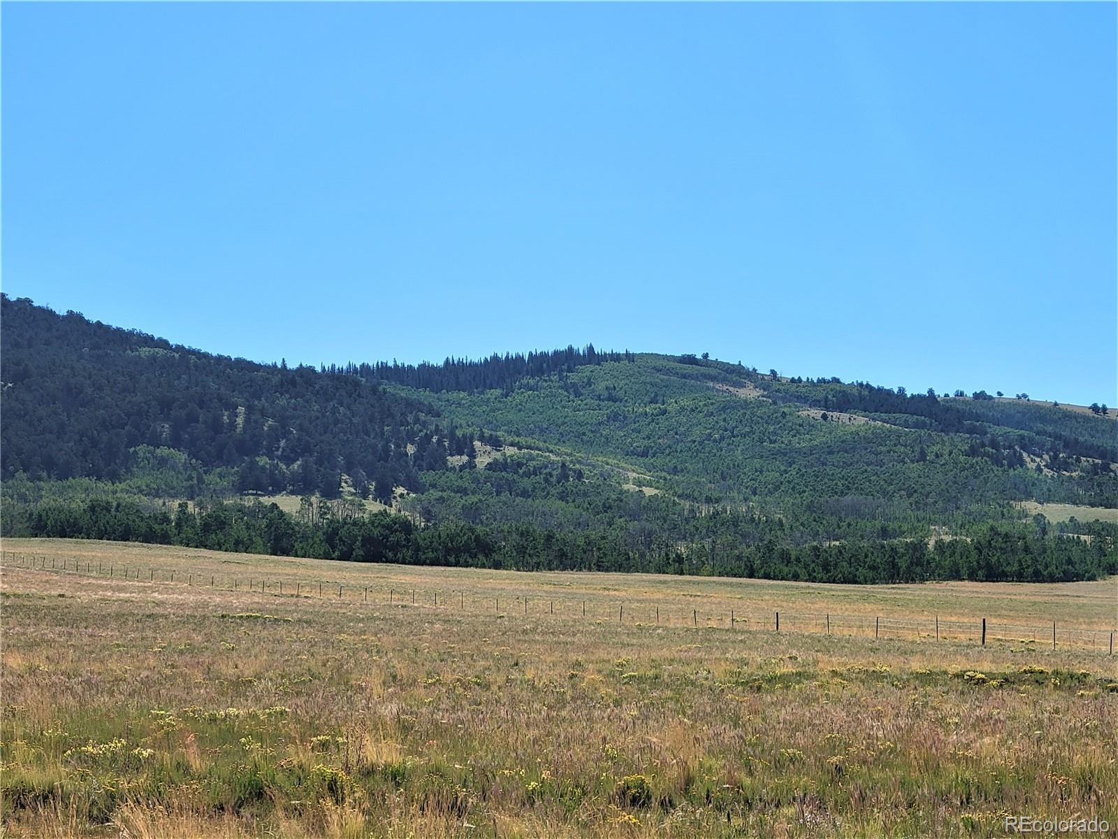 3242 Gap Road Fairplay, CO 80440 - Photo 8 of 13 Gallery Image 8
