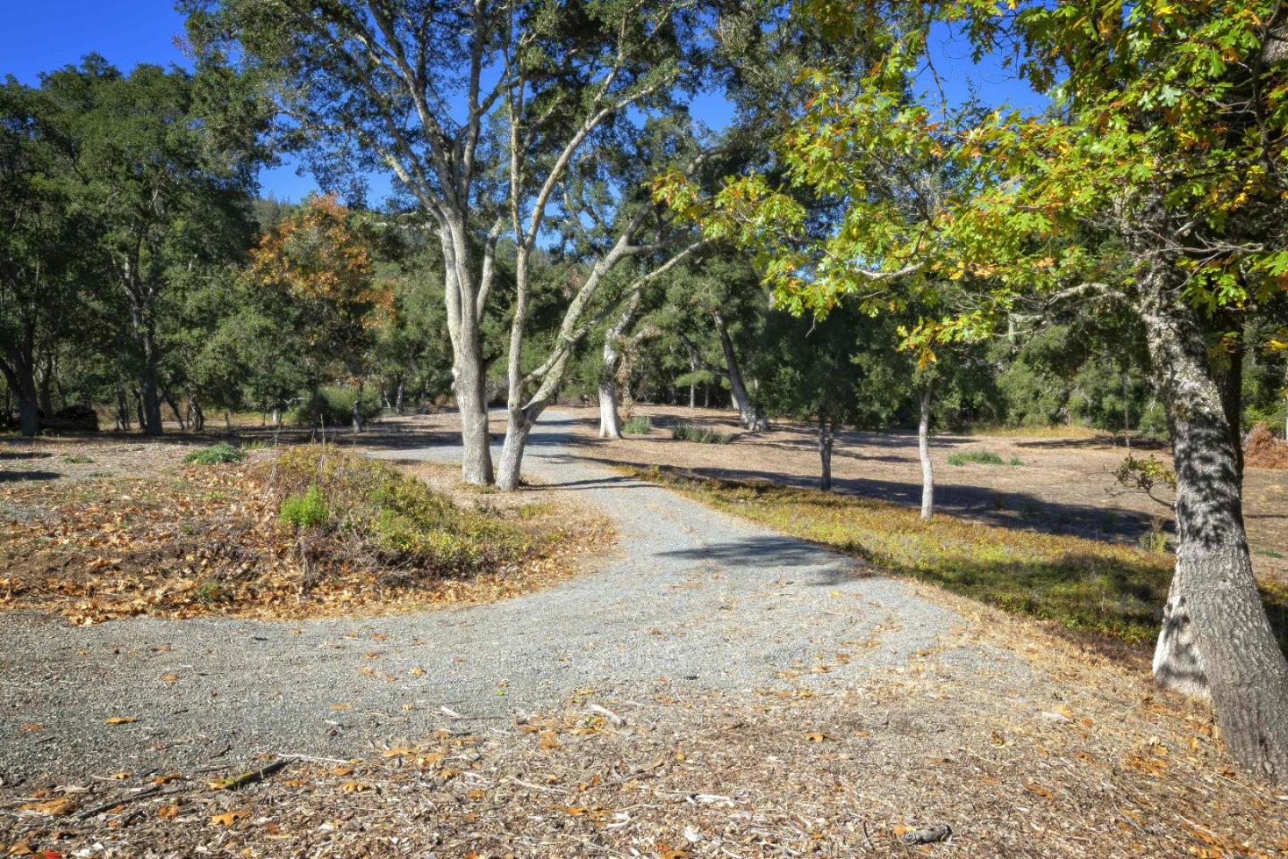 160 Greer Road Woodside, CA 94062 - Photo 12 of 24 Gallery Image 12