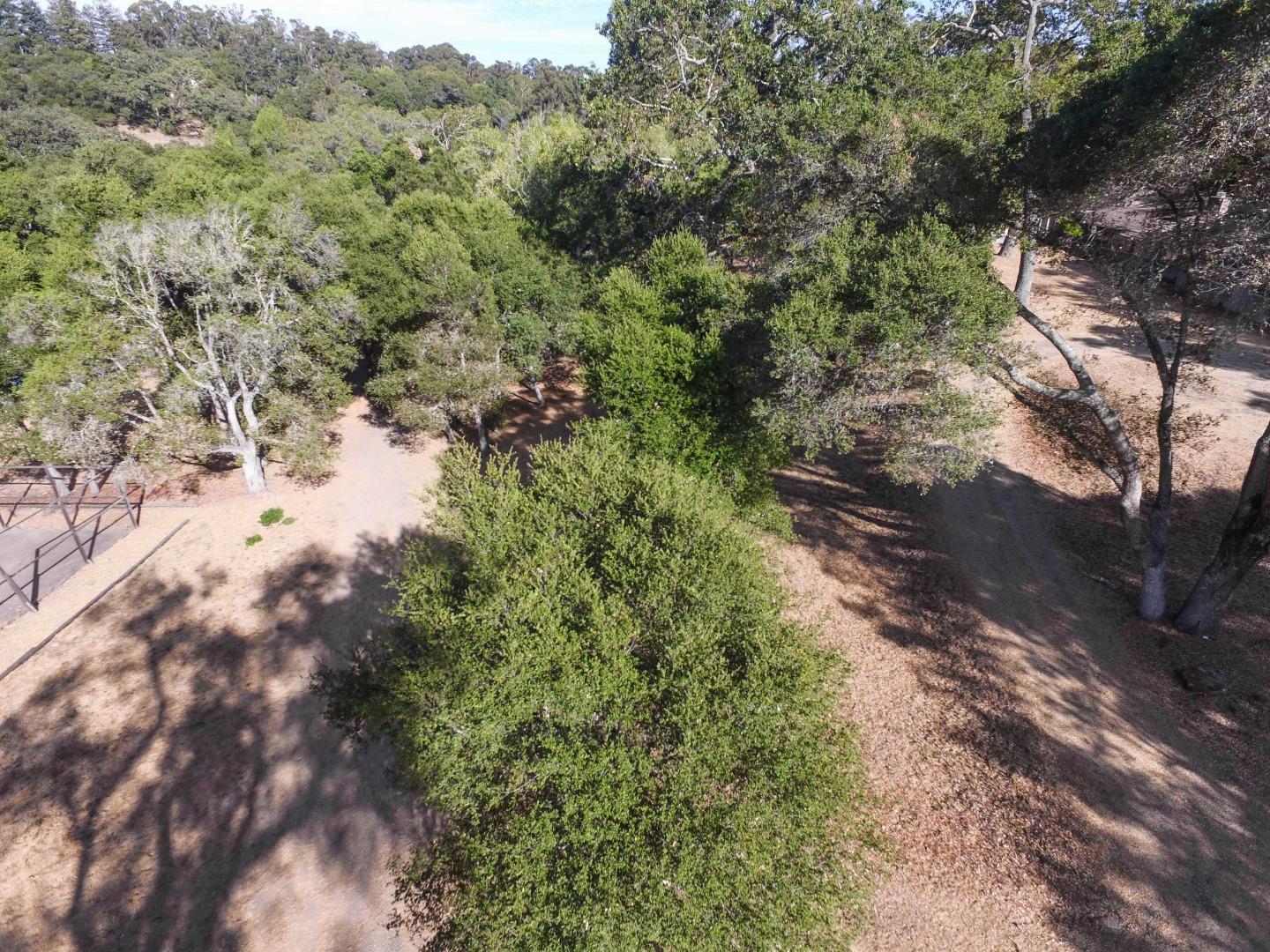 160 Greer Road Woodside, CA 94062 - Photo 14 of 24 Gallery Image 14