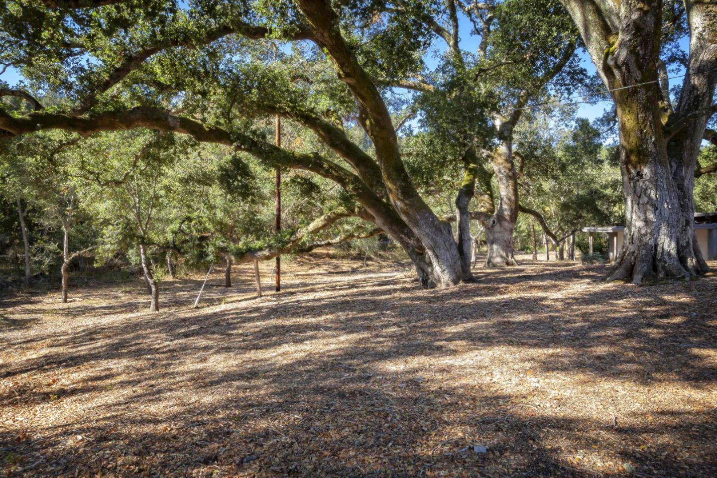 160 Greer Road Woodside, CA 94062 - Photo 15 of 24 Gallery Image 15