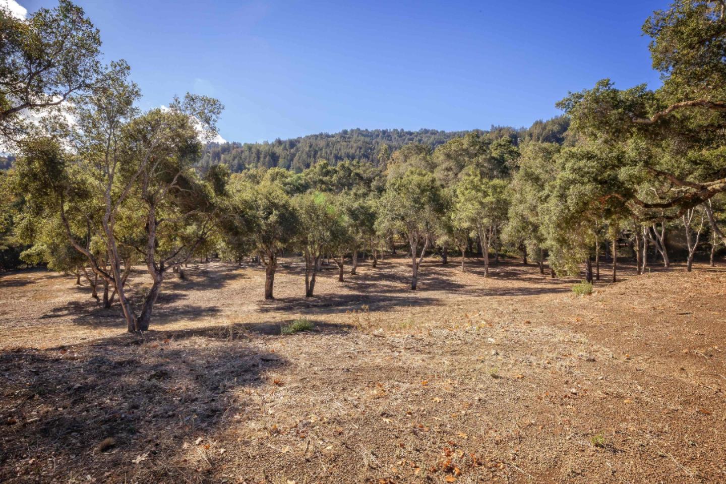 160 Greer Road Woodside, CA 94062 - Photo 16 of 24 Gallery Image 16