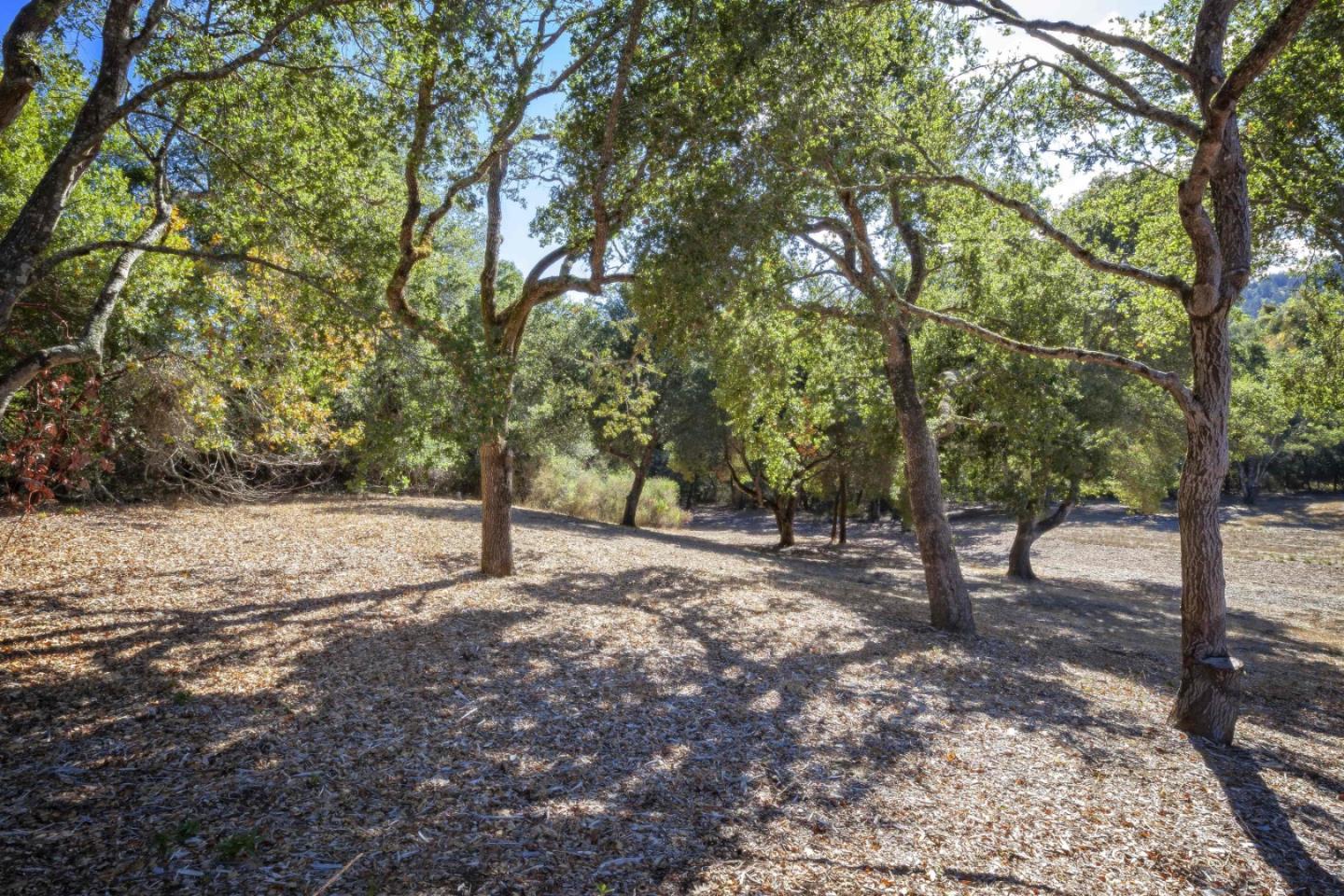 160 Greer Road Woodside, CA 94062 - Photo 17 of 24 Gallery Image 17