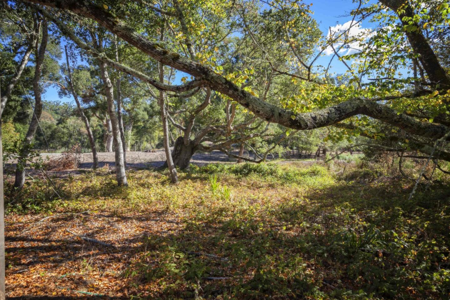 160 Greer Road Woodside, CA 94062 - Photo 23 of 24 Gallery Image 23