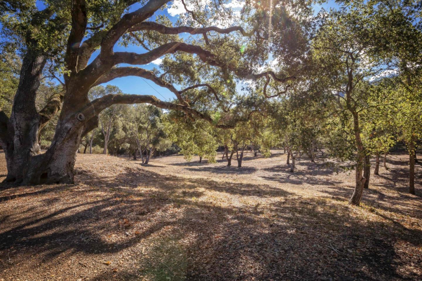 160 Greer Road Woodside, CA 94062 - Photo 24 of 24 Gallery Image 24