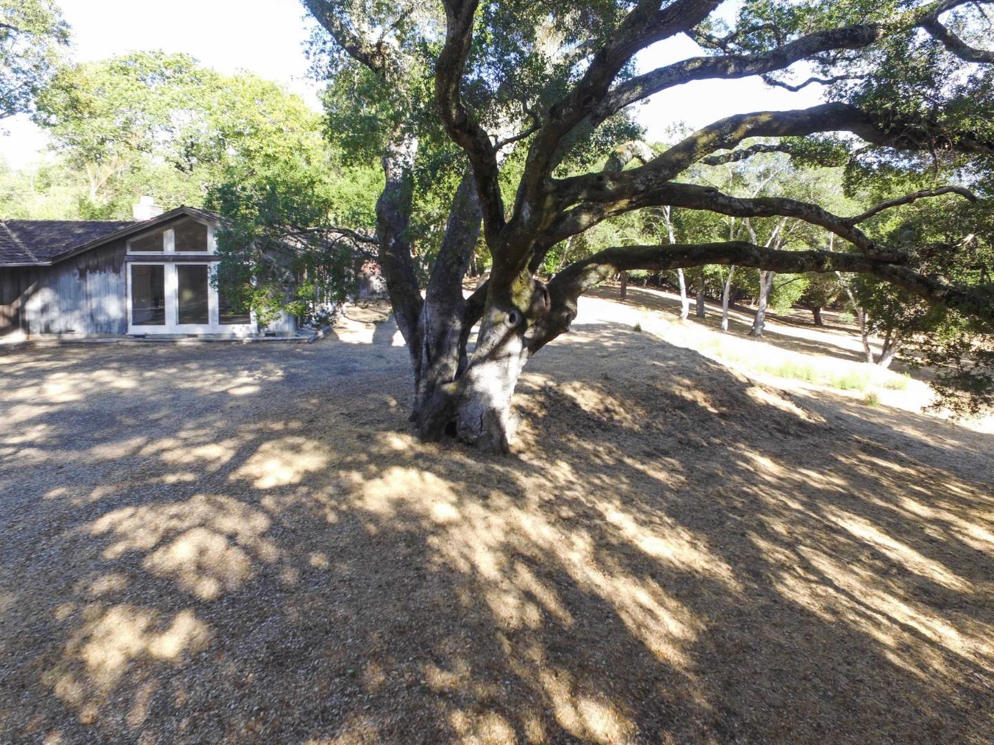 160 Greer Road Woodside, CA 94062 - Photo 4 of 24 Gallery Image 4