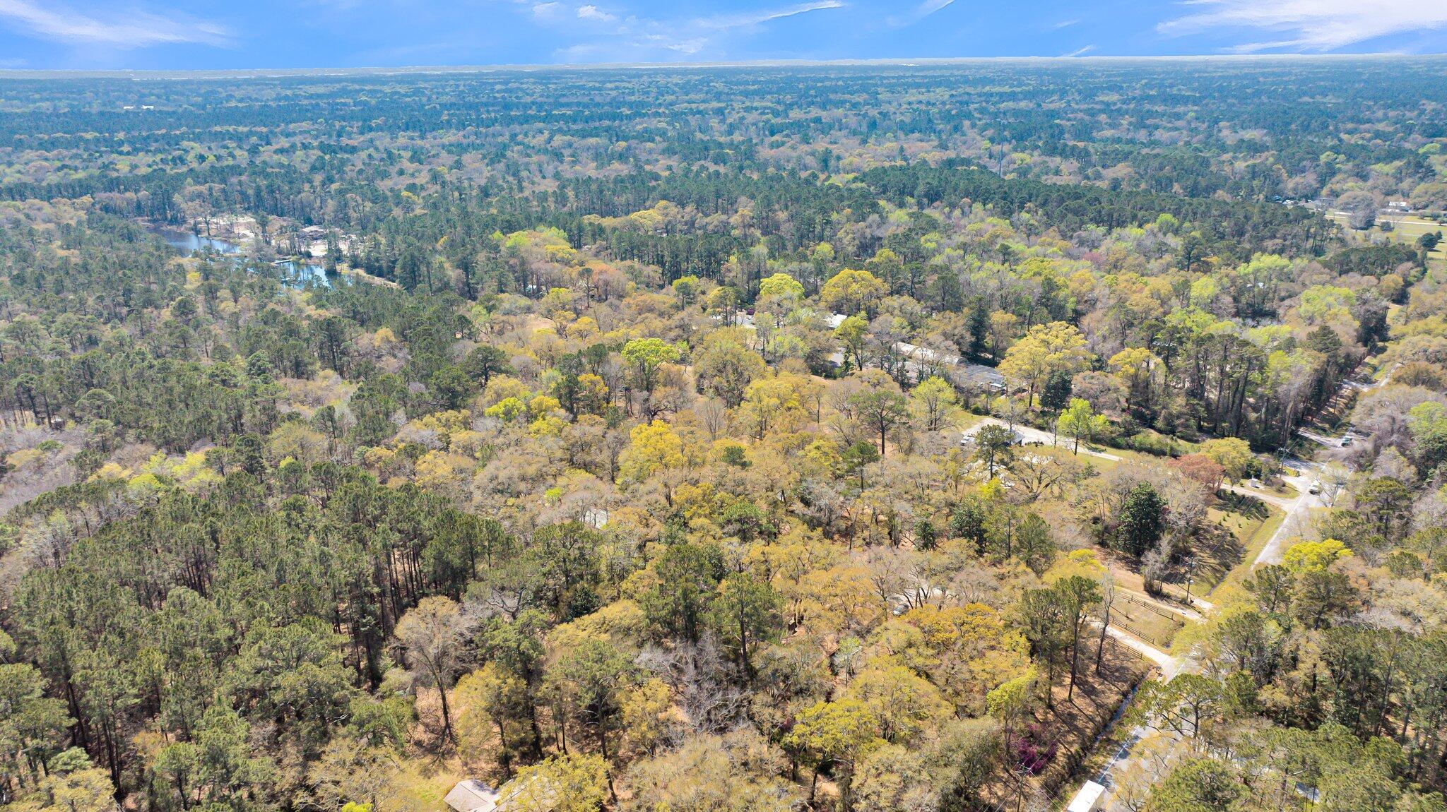 2591 Bohicket Road Johns Island, SC 29455 - Photo 9 of 16 CREM -3205 Duck Pond-6