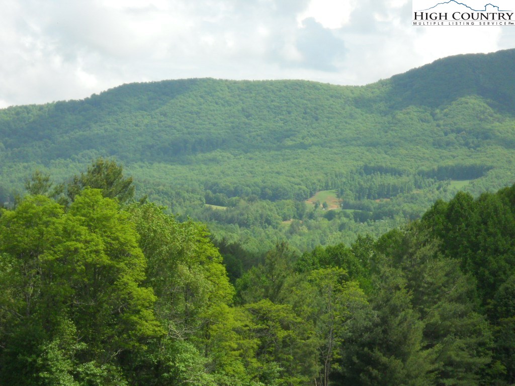 763 Little Piney Road Lansing, NC 28643 - Photo 7 of 32 Gallery Image 7