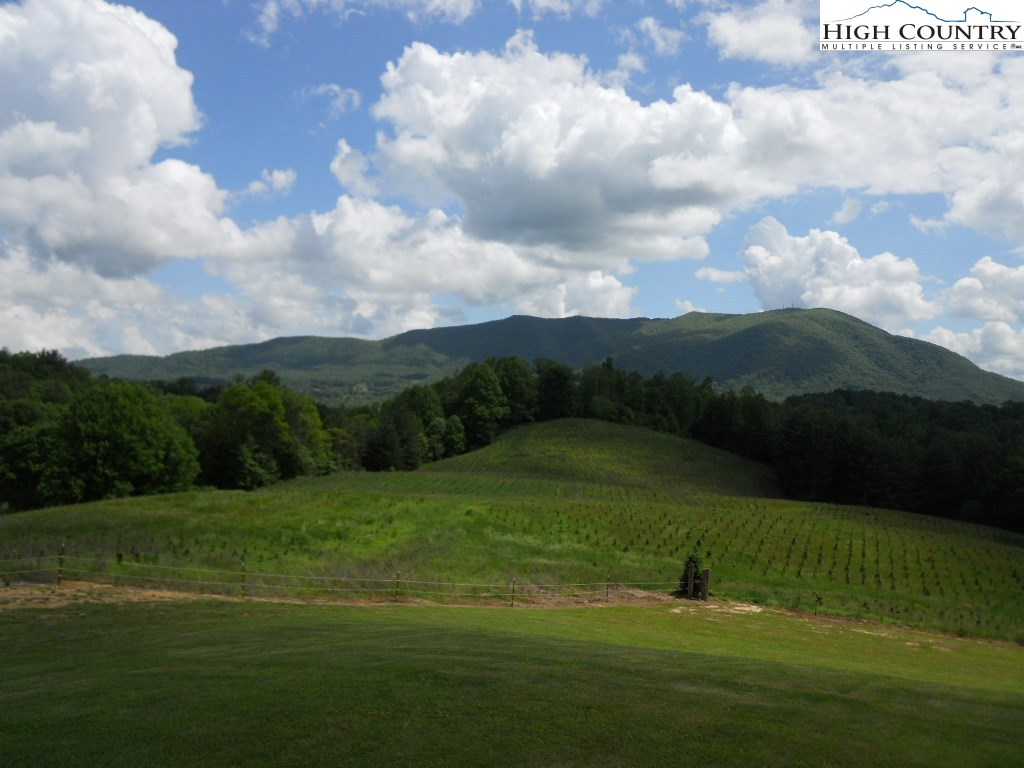 763 Little Piney Road Lansing, NC 28643 - Photo 10 of 32 Gallery Image 10