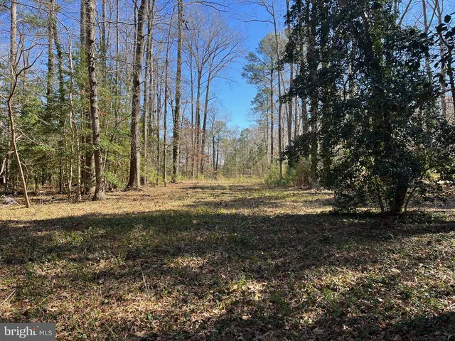 $229,000 | Lot 01 Deep Harbor Lane, Lancaster, VA 22503
