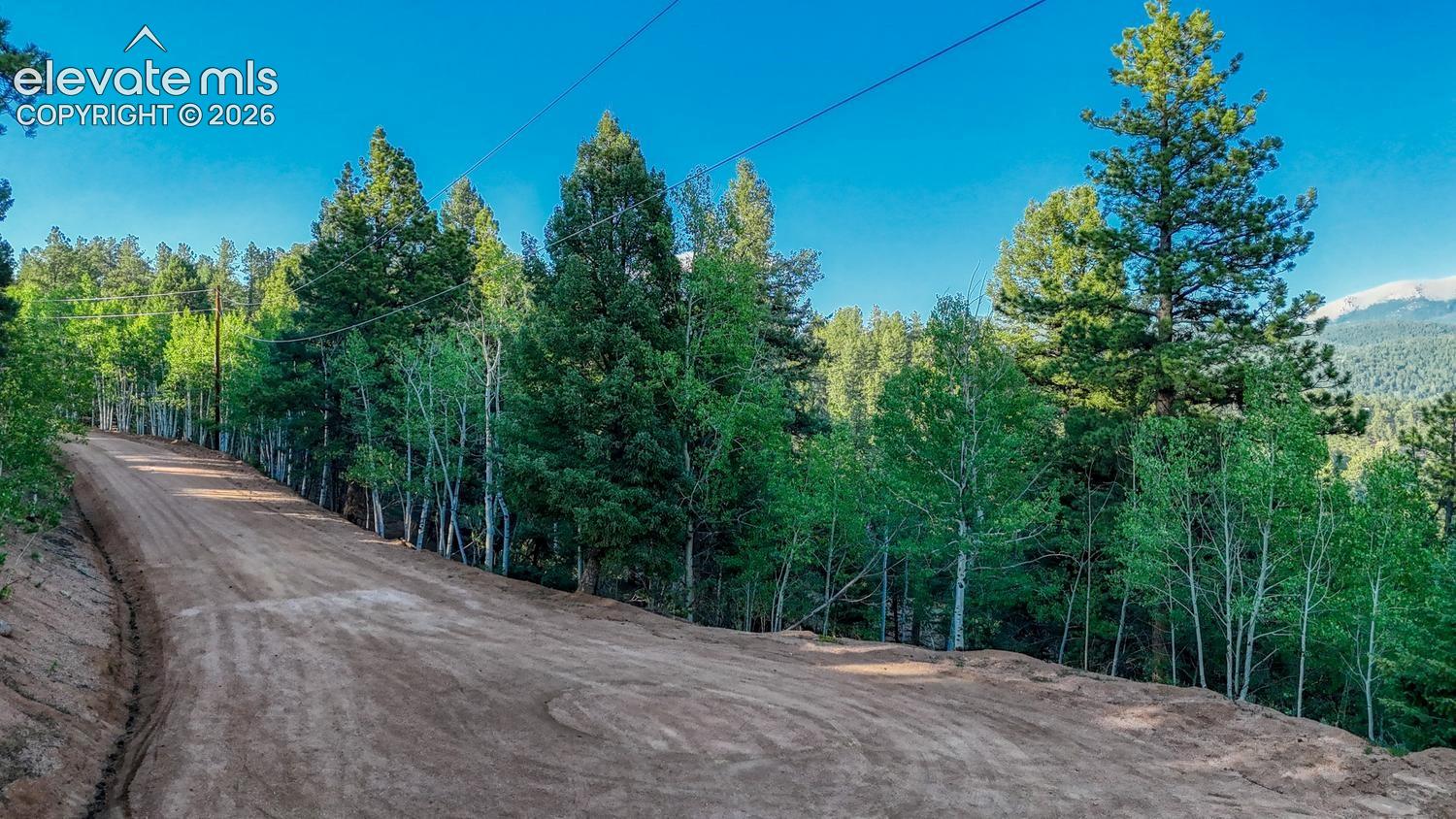 364 Blue Spruce Road Divide, CO 80814 - Photo 3 of 21 Gallery Image 3