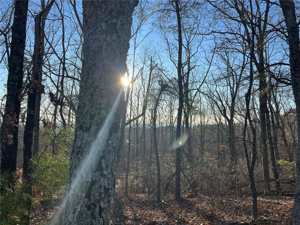 1171 Hunter Drive Ranger, GA 30734 - Photo 1 of 19 a view of a yard