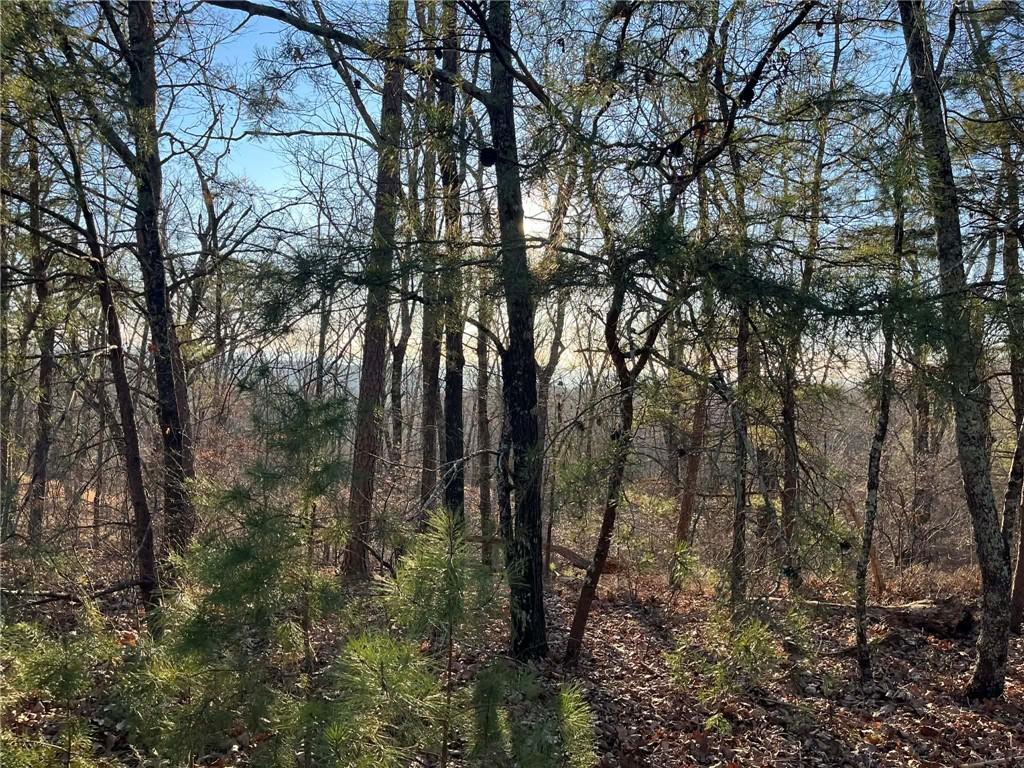 1171 Hunter Drive Ranger, GA 30734 - Photo 2 of 19 a view of forest