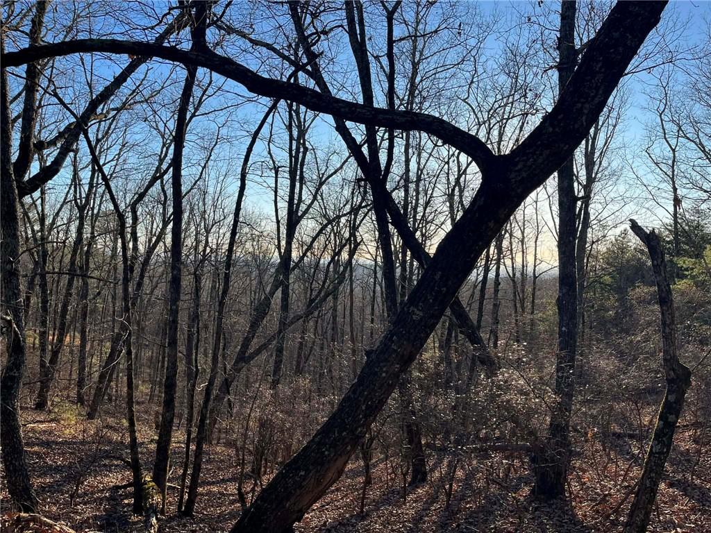 1171 Hunter Drive Ranger, GA 30734 - Photo 3 of 19 a backyard of a house with lots of green space