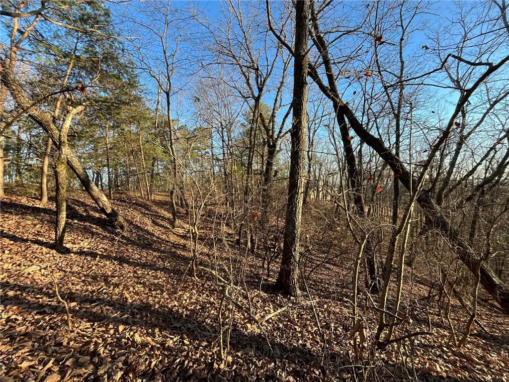1171 Hunter Drive Ranger, GA 30734 - Photo 4 of 19 a backyard of a house with lots of green space