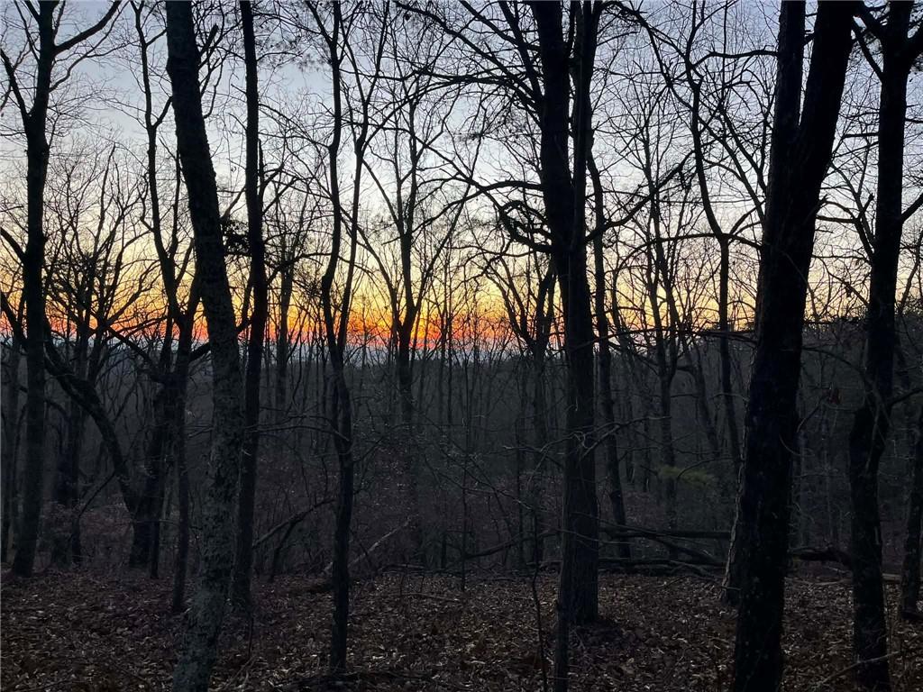 1171 Hunter Drive Ranger, GA 30734 - Photo 5 of 19 a view of outdoor space and yard