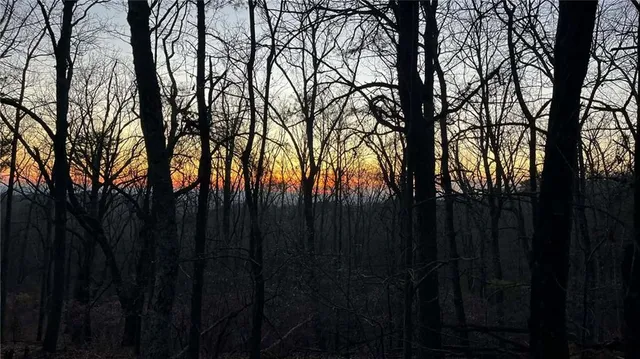 a view of trees with a house
